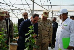بقرارات من السيسي.. عسكر الانقلاب يبتلع أراضي الشعب