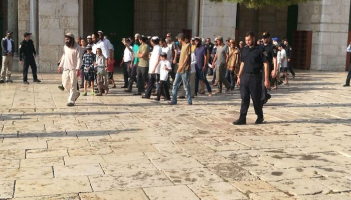3330 صهيونيًّا اقتحموا الأقصى خلال أغسطس الماضي