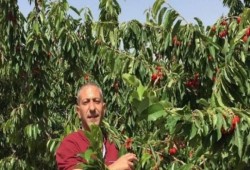 "مخابرات" الاحتلال تعترف بتعذيب أسير فلسطيني حالته حرجة