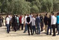 مئات الصهاينة يقتحمون الأقصى واعتقال 5 بحملة مداهمات بالضفة والقدس