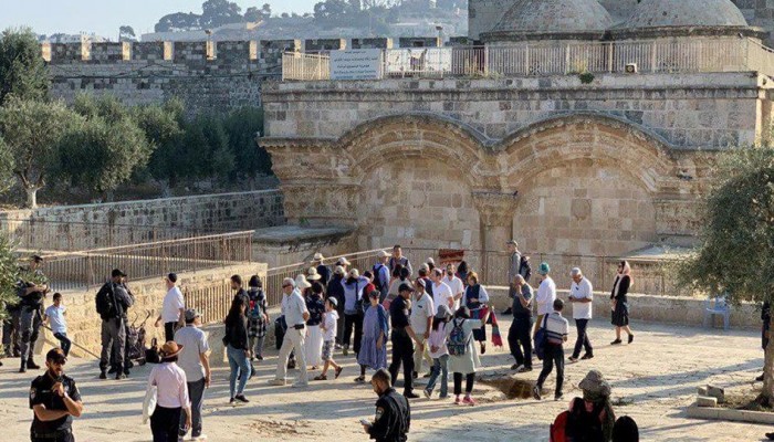 754 مغتصبًا يقتحمون المسجد الأقصى.. وهيئات إسلامية تحذر