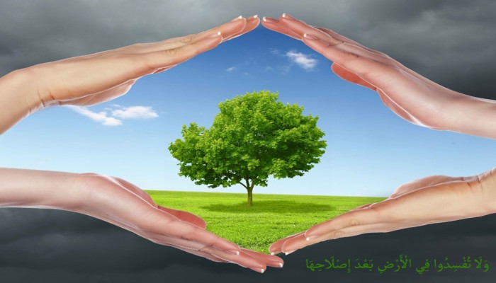 الإفساد.. ومراتبه