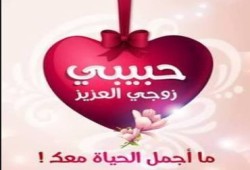 "شكرا".. ضياء البيوت