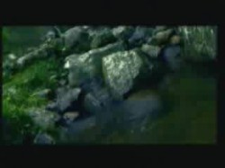 الحلقة الرابعة والعشرون