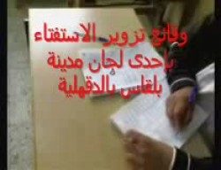 وقائع تزوير الاستفتاء في إحدى لجان بلقاس بالدقهلية