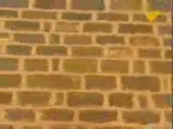 يحيى عياش (3)