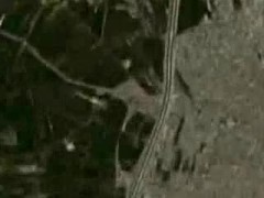 الشجرة الطيبة