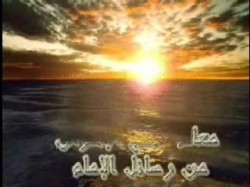 الحلقة السابعة عشرة