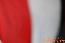 معتقلون في حب مصر