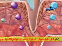 فأرة إعلانية (9)