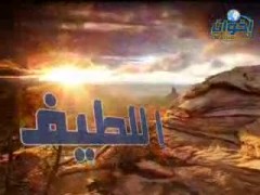 اللطيف
