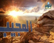 المجيب