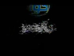 الجزء الثاني