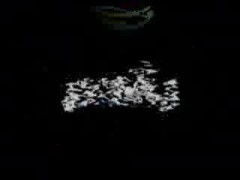 سعد الحلوجي- دائرة بسنديلة دقهلية