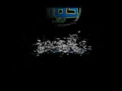 فضيحة انتخابات مجلس الشعب 2010 (الجزء الثاني)