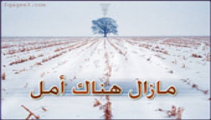 كيف أتغير؟! من أين أبدأ؟! خطوات في إصلاح الذات