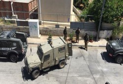 دهس طالبة واعتقال 12 فلسطينيا بينهم أسير محرر