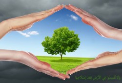 الإصلاح والإفساد.. ومنهج التدافع القرآني (3/3)