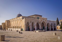 لأول مرة.. "الهيكل" يدعو لاقتحام الأقصى صباح الإثنين في "يوم الشجرة"