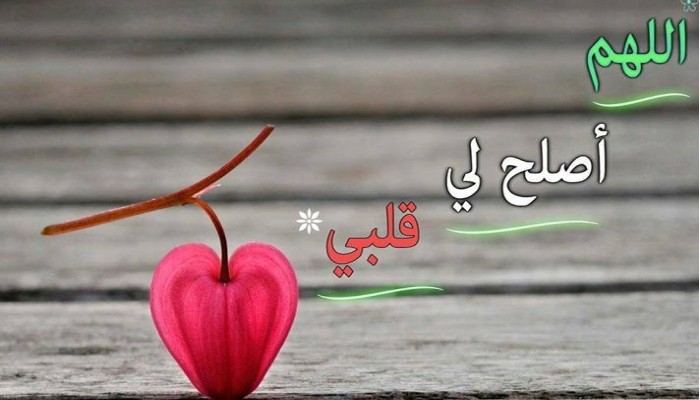 خاطرة تربوية.. فقه القلب يقربك إلى الحق