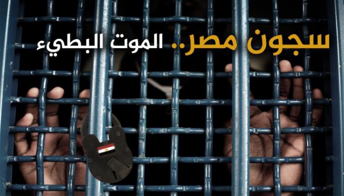 مطالبات بالإفراج عن علا حسين بعد إعدام زوجها وتدوير الصحفي بدر محمد بدر