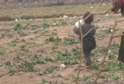 رغم تعثرها لمرات.. طفلة سورية تساعد والدتها لعبور الحدود اليونانية