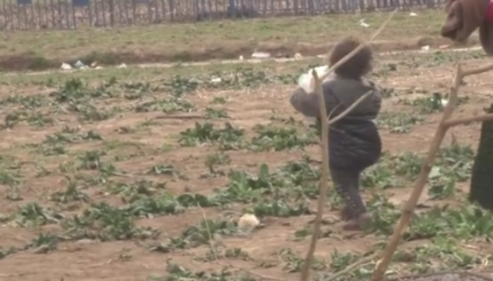 رغم تعثرها لمرات.. طفلة سورية تساعد والدتها لعبور الحدود اليونانية