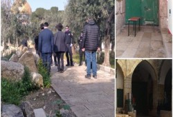 عشرات الصهاينة يقتحمون باحات "الأقصى" ويعتدون على فلسطينيين بالضفة