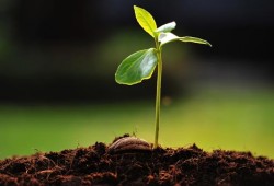 خواطر رمضانية (4): دعاة مصلحون.. وطغاة مفسدون