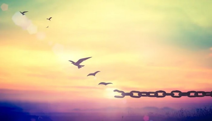 المطففون ومغادرة العدل