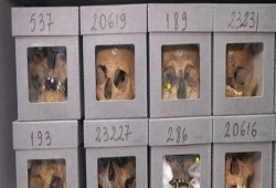 "وصمة عار".. جماجم أبطال المقاومة الجزائرية "ديكور" في متحف فرنسي