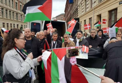 تظاهرتان رافضتان للضم في كندا والدنمارك