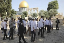 228 من الهمج الصهاينة يقتحمون المسجد الأقصى