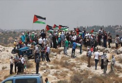 فلسطين المحتلة.. مظاهرة ضد الاستيطان الصهيوني وخطة الضم