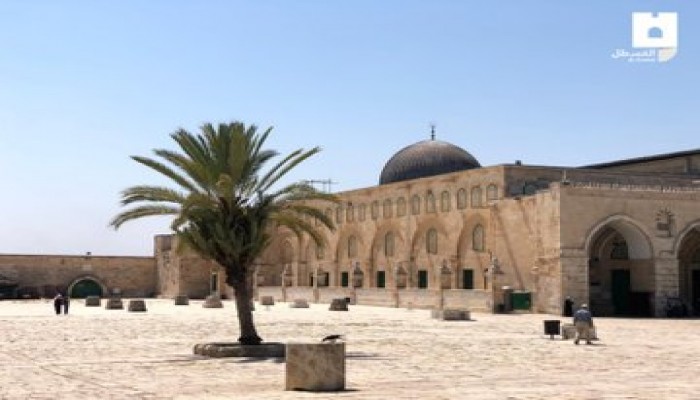 علماء فلسطين: (2257) من الهمج الصهاينة اقتحموا "الأقصى" خلال أغسطس