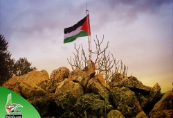فلسطين المحتلة| اعتقالات بالضفة والمقاومة الشعبية تدعو لانتفاضة يوم توقيع اتفاق العار