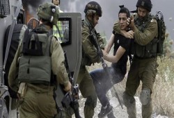 فلسطين المحتلة| دهس عامل واعتقالات واقتحامات