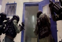 فلسطين المحتلة| اقتحام "الأقصى" وقمع الأسرى وحملة اعتقالات بالضفة