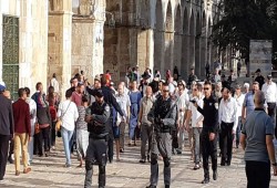 فلسطين| اعتقالات بالضفة ودعوات للرباط في الأقصى