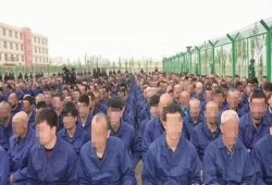 شركة سويدية توقف التعامل مع مستغلو مسلمي الإيجور