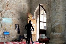 فلسطين المحتلة| مغتصبون يدنسون الأقصى واعتقالات ومواجهات بالضفة والقدس