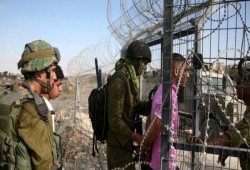 اعتقالات بالضفة والقدس وجنوب غزة.. وطقوس تلمودية على أبواب الأقصى