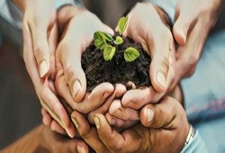 الشكر وتأثيره على استقرار الأسرة