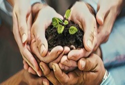 الشكر وتأثيره على استقرار الأسرة