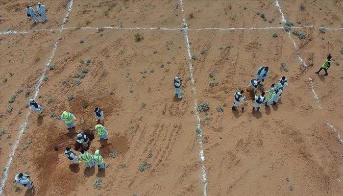الربيع العربي| ارتفاع مقابر ترهونة الجماعية لـ16 وجاسوس إماراتي جديد لأنقرة