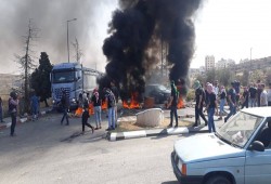 فلسطين المحلتة| اقتحامات ومداهمات واعتداء على مزراعين بالضفة والقدس