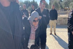 فلسطين.. عشرات المغتصبين يدنسون الأقصى واعتقال شابين والحكم على مرابطة بالسجن