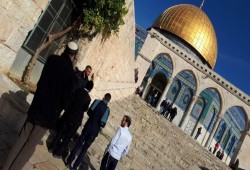 فلسطين المحتلة.. اقتحام الأقصى واعتقالات بالضفة والاعتداء على مسن