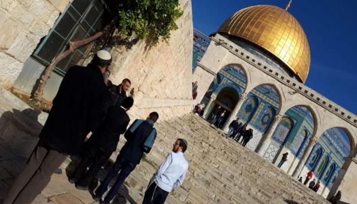 فلسطين المحتلة.. اقتحام الأقصى واعتقالات بالضفة والاعتداء على مسن