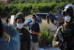 اعتداء صهيوني على مزارعين فلسطينيين.. و"2050" انتهاكا خلال نوفمبر الماضي